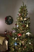 fulltree.jpg