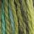 Frog Prince (Imagination Hand Painted Sock Yarn)