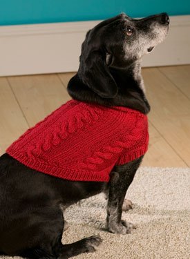 4 Cable Dog Sweater