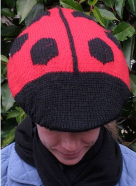 Ladybug Bike Helmet Cover