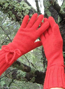 Chamrousse Gloves