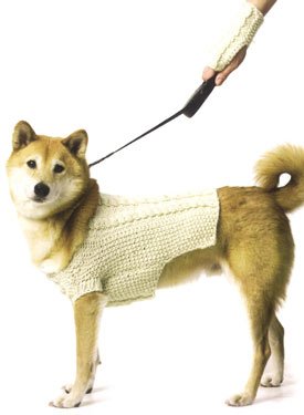 Irish Fisher Dog and Friend Pattern