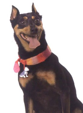 New Age Flea Collar Pattern