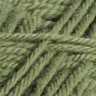 Fern