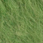 Fern Heather
