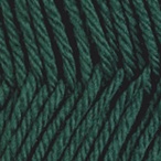 Jade in Swish Worsted Yarn