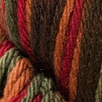 Redwood Forest in Wool of the Andes Bulky Hand Dyed Yarn
