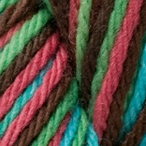 Spumoni in Wool of the Andes Bulky Hand Dyed Yarn
