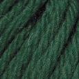 Emerald in Wool of the Andes Bulky Yarn