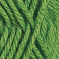 Asparagus in Swish DK Yarn