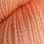 Mango in Gloss Lace Yarn
