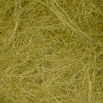 Spanish Moss