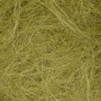 Spanish Moss