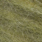 Fennel