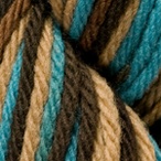 Robins Nest in Wool of the Andes Bulky Hand Dyed Yarn