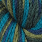 Beetle in Wool of the Andes Bulky Hand Dyed Yarn