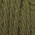Oregano in Wool of the Andes Bulky Yarn