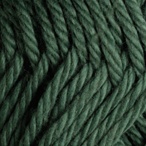 Jalapeno in Comfy Worsted Yarn
