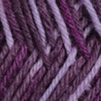 Pansy Multi