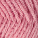 Carnation