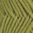 Avocado in Swish Worsted Yarn