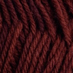 Auburn in Stroll Kettle Dyed Sock Yarn 100 grams