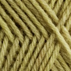 Grasshopper in Stroll Kettle Dyed Sock Yarn 100 grams