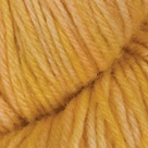 Golden Glow in Stroll Tonal Sock Yarn