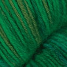 Canopy in Stroll Tonal Sock Yarn