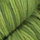 Springtime in Stroll Tonal Sock Yarn