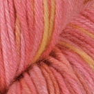 Queen Anne in Stroll Tonal Sock Yarn