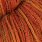 Foliage in Stroll Tonal Sock Yarn