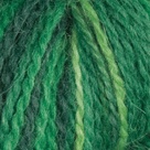  Enchanted Forest in Imagination Hand Painted Sock Yarn