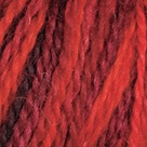 Ruby Slippers in Imagination Hand Painted Sock Yarn