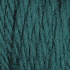 Spruce in Wool of the Andes Bulky Yarn