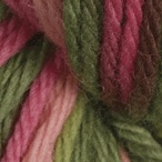 Garden Party in Wool of the Andes Bulky Hand Dyed Yarn