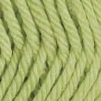 Parrot in Swish Worsted Yarn