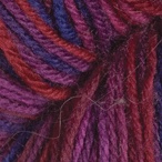 Berry Patch in Stroll Hand Painted Sock Yarn