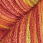 Juice Box in Stroll Hand Painted Sock Yarn