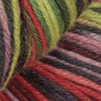 Watermelon in Stroll Hand Painted Sock Yarn