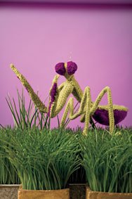 Praying Mantis Toy Pattern