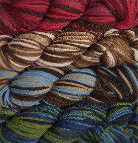 Wool of the Andes Bulky Hand Dyed Yarn