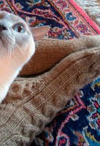 Dave Finally Gets His Socks Pattern