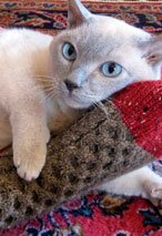 I Love You Dad! Socks
