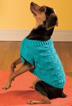 Diagonal Dog Sweater Pattern