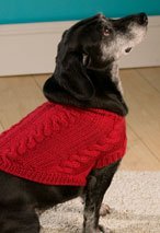 4 Cable Dog Sweater
