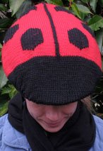 Ladybug Bike Helmet Cover