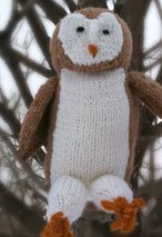 Barn Owl