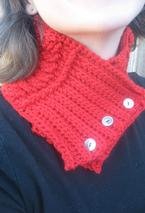 A Touch of Spice Crochet Cowl