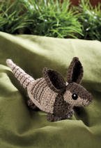 San Antonio Sam, the Nine-Banded Armadillo